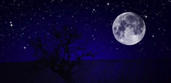 Imagem de capa - John 15: Under the full moon